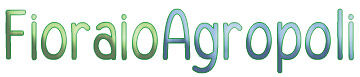 homepage FIORERIA AGROPOLI