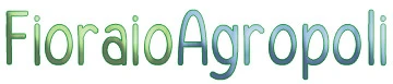 homepage FIORERIA